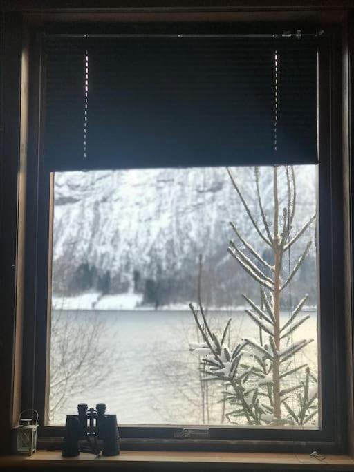 Apartment With Lake View In Jolster Ardal  Exterior photo